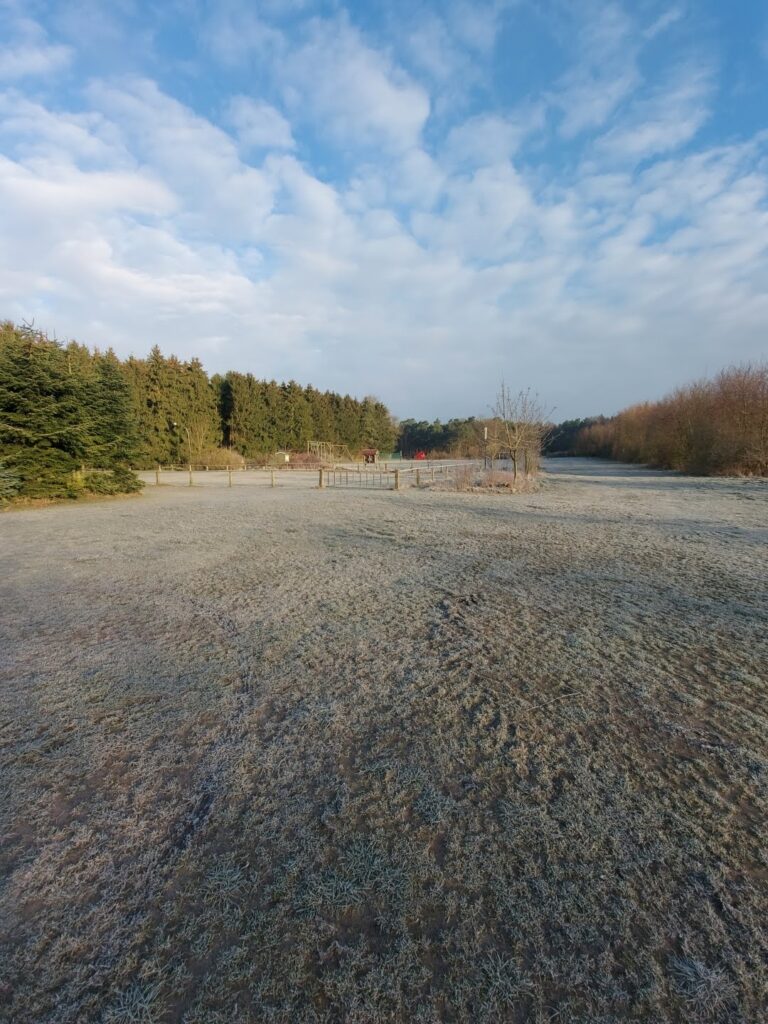 Camping_Winter_1