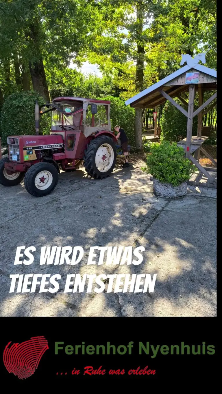 Töwer Ferienhof - 1
